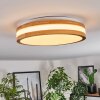 Sofo Plafonnier LED Blanc, 1 lumière