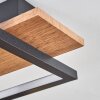 Cascada Plafonnier LED Laiton, Écru, Noir, 1 lumière Cascada Plafonnier LED Laiton, Écru, Noir, 1 lumière