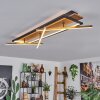 Cascada Plafonnier LED Laiton, Écru, Noir, 1 lumière Cascada Plafonnier LED Laiton, Écru, Noir, 1 lumière