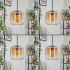 Lauden Suspension Ambre, Clair, 5 lumières