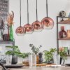 Ripoll Suspension Clair, Cuivré, 4 lumières