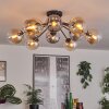 Gastor Plafonnier 91 cm Ambre, Clair, Fumé, 12 lumières