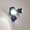 Applique murale d'extérieur Emmerlev LED Noir, 2 lumières, Détecteur de mouvement