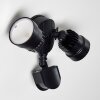 Applique murale d'extérieur Emmerlev LED Noir, 2 lumières, Détecteur de mouvement