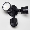 Applique murale d'extérieur Emmerlev LED Noir, 2 lumières, Détecteur de mouvement