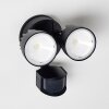 Applique murale d'extérieur Emmerlev LED Noir, 2 lumières, Détecteur de mouvement