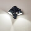 Applique murale d'extérieur Emmerlev LED Noir, 2 lumières, Détecteur de mouvement