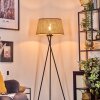 Barcos Lampadaire beige, Écru, 1 lumière