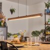 Carbellino Suspension Brun foncé, Noir, 1 lumière