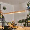 Carbellino LED Écru, Noir, 1 lumière