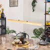 Carbellino LED Écru, Noir, 1 lumière