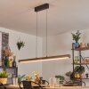 Carbellino Suspension LED Blanc, 1 lumière
