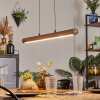 Carbellino Suspension LED Blanc, 1 lumière
