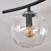 Gastor Plafonnier, Boule lumineuse Ambre, Clair, Fumé, 6 lumières