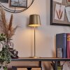 Belece Lampe de table d'extérieur, Lampe à poser Or, 1 lumière