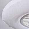 Benesal Plafonnier, Ventilateur de plafond lumineux Blanc, 1 lumière, Télécommandes