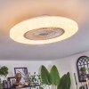 Benesal Plafonnier, Ventilateur de plafond lumineux Blanc, 1 lumière, Télécommandes