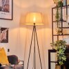 Bassagoda Lampadaire beige, Blanc, 1 lumière