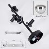 Gastor Plafonnier, Boule lumineuse Chrome, Clair, Fumé, 4 lumières