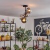 Gastor Plafonnier, Boule lumineuse Chrome, Clair, Fumé, 4 lumières