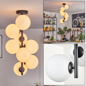 Gastor Plafonnier, Boule lumineuse Transparent, 8 lumières Gastor Plafonnier, Boule lumineuse Transparent, 8 lumières