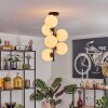 Gastor Plafonnier, Boule lumineuse Transparent, 6 lumières