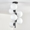 Gastor Plafonnier, Boule lumineuse Transparent, 6 lumières