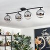 Gastor Plafonnier, Boule lumineuse Chrome, Clair, Fumé, 4 lumières