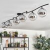 Gastor Plafonnier, Boule lumineuse Chrome, Clair, Fumé, 6 lumières