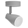 Spot Plafonnier, Spot de plafond Luminaires Ledvance LED Gris, 1 lumière