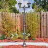 Loria Luminaire extérieur, Réverbère, Eclairage de chemin Noir, Argenté, 2 lumières