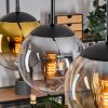 Gastor Suspension, Boule lumineuse Or, Clair, Fumé, 3 lumières