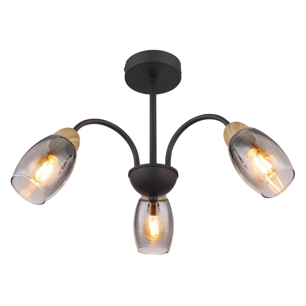 GERLY Plafonnier Luminaires Globo Lighting Noir, 3 lumières main product photo