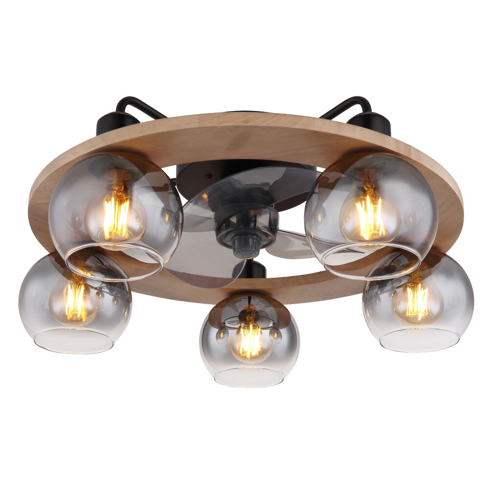 LAMOTTA Luminaires Globo Lighting Noir, 5 lumières, Télécommandes main product photo