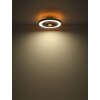 Blizzak Ventilateur de plafond lumineux Luminaires Globo Lighting LED Noir, 1 lumière, Télécommandes