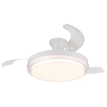 Beliz Ventilateur de plafond lumineux Luminaires Globo Lighting LED Blanc, 1 lumière, Télécommandes Beliz Ventilateur de plafond lumineux Luminaires Globo Lighting LED Blanc, 1 lumière, Télécommandes