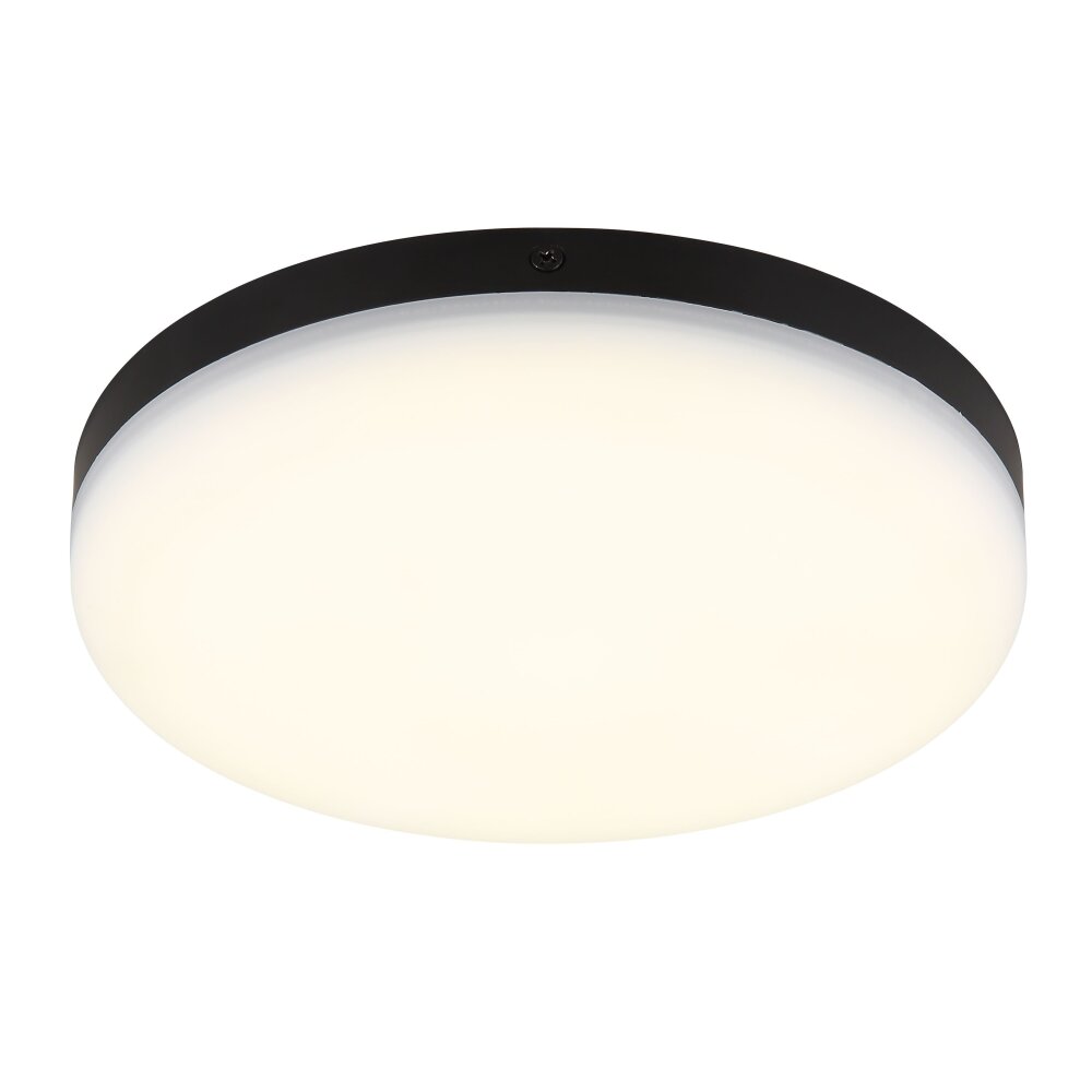 Matthew Plafonnier Luminaires Globo Lighting LED Noir, 1 lumière main product photo