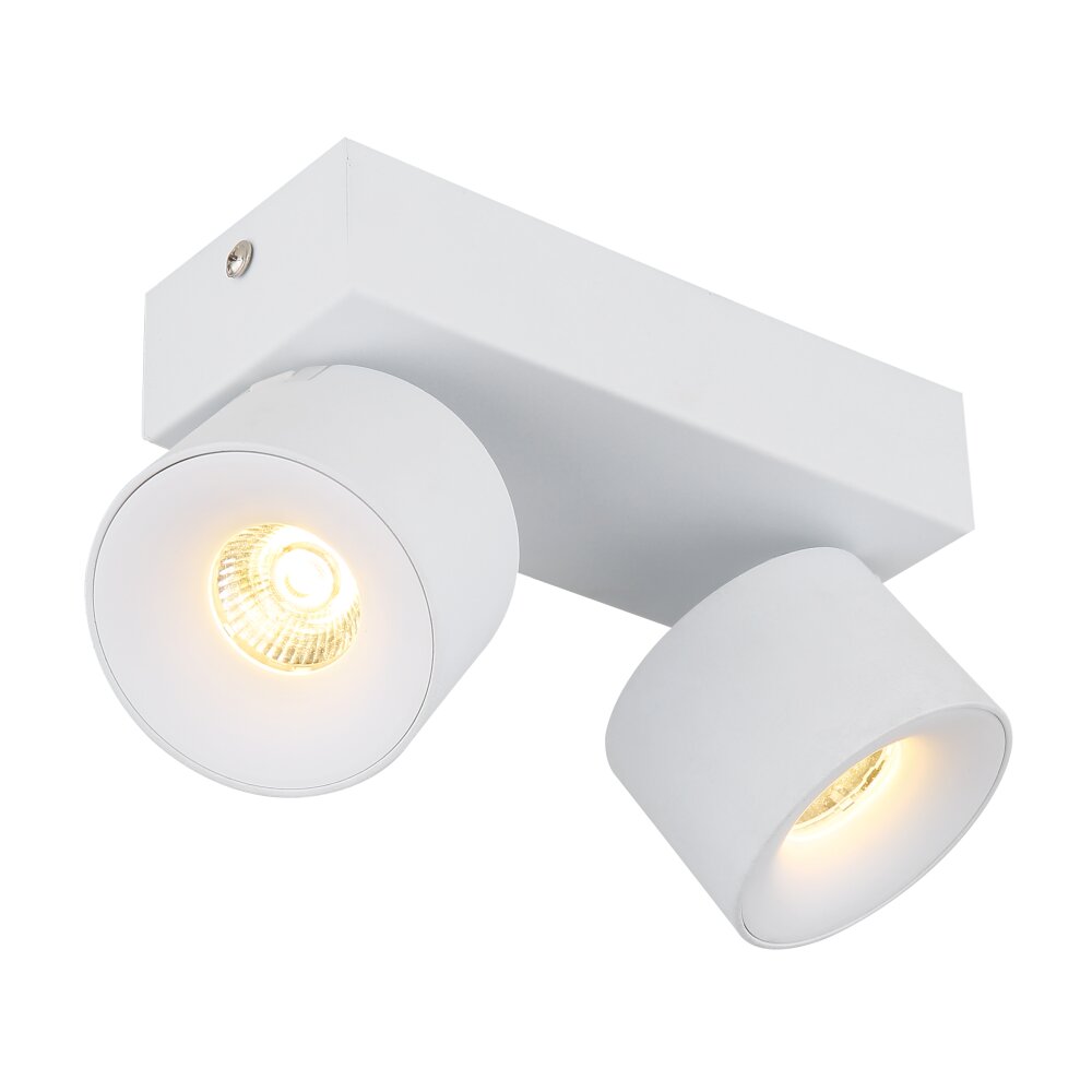 Rae Plafonnier Luminaires Globo Lighting LED Blanc, 2 lumières main product photo