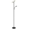 Skopo Plafonnier Luminaires Globo Lighting LED Noir, 1 lumière