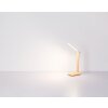 Bulla Lampe à poser Luminaires Globo Lighting LED Rose, 1 lumière
