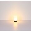 Normy Lampe à poser Luminaires Globo Lighting Noir, 1 lumière