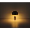 Lampe Champignon  Atoma Lampe à poser Luminaires Globo Lighting Nickel mat, 2 lumières