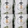 Gastor Suspension, Boule lumineuse Clair, 3 lumières