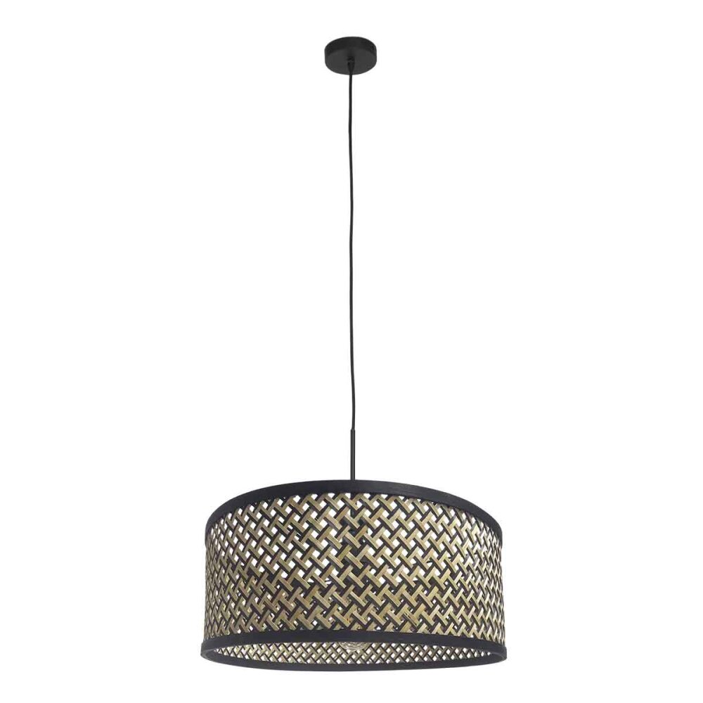Light Suspension Luminaires Steinhauer Noir, 1 lumière main product photo