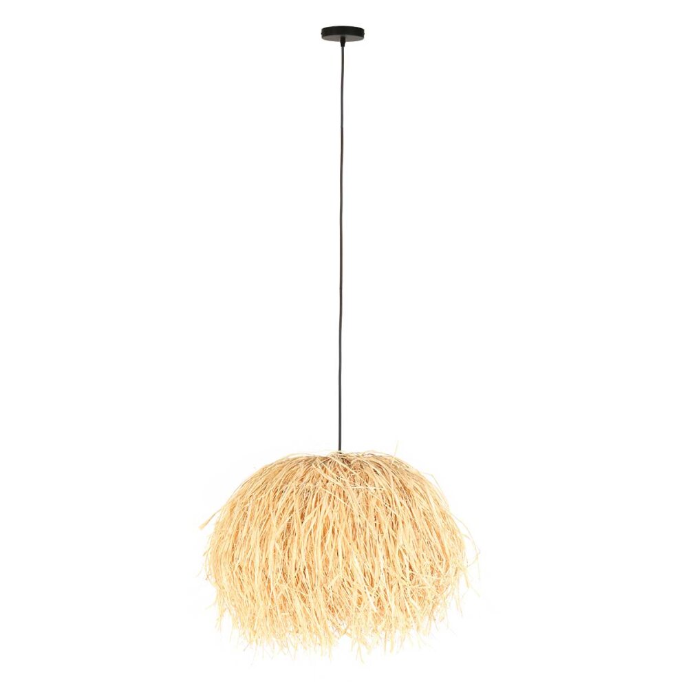 Grass Suspension Luminaires Steinhauer Noir, 1 lumière main product photo