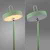 AMAG Lampe à poser Luminaires Leuchten Direkt LED Vert, 1 lumière