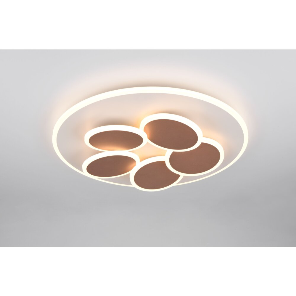 Mandala Plafonnier Luminaires Trio LED Gris, 1 lumière, Télécommandes main product photo