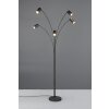 Marley Lampadaire, Lampadaires arc Luminaires Trio Noir, 5 lumières