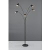 Marley Lampadaire, Lampadaires arc Luminaires Trio Noir, 5 lumières