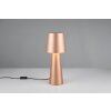 Nubian Lampe à poser Luminaires Trio Brun, 1 lumière